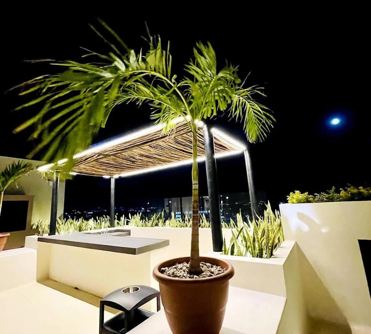 Alma Del Caribe Cancun Mexico
